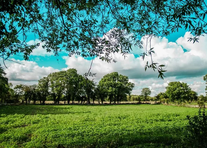 Corrib View Apartmán